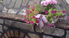 img-20180831-wa0015.jpg